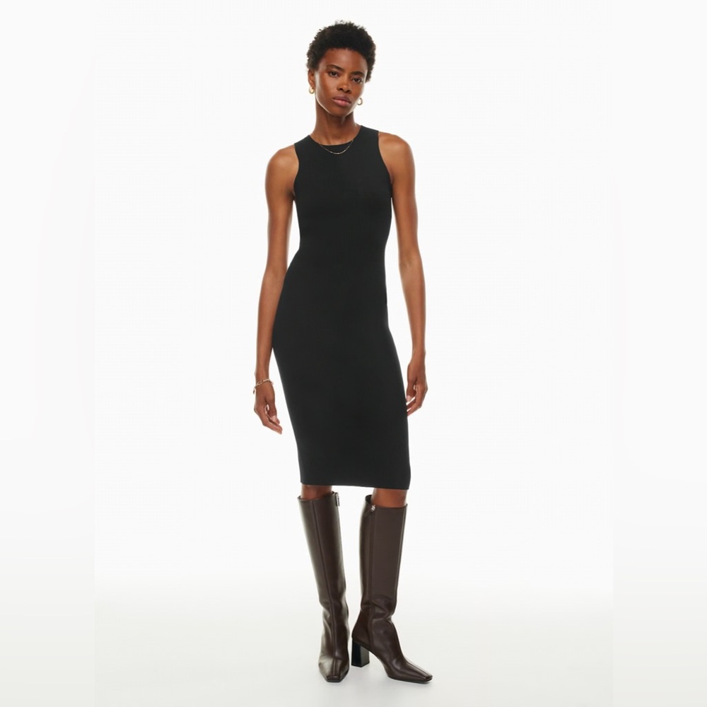 Aritzia Wilfred Moonstruck Dress